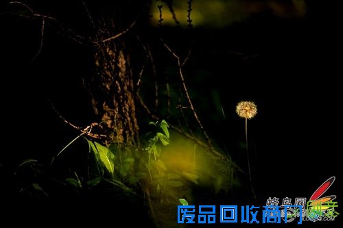 拍摄出和大师一样美丽的旅游照片 拍摄出和大师一样美丽的旅游照片