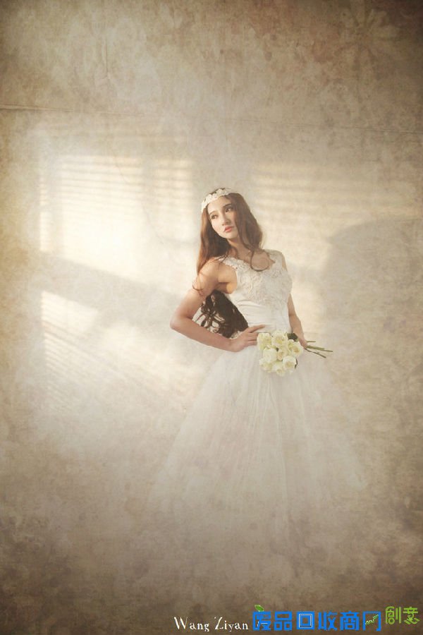 美轮美奂，欧洲唯美风格婚纱摄影你见过吗