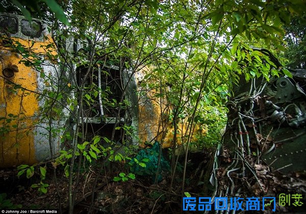 组图：美摄影师旅途偶遇二战老飞机“墓地”