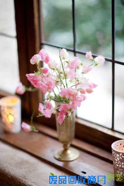 花颜 唯美花卉摄影美图