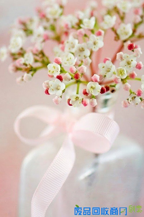 花颜 唯美花卉摄影美图