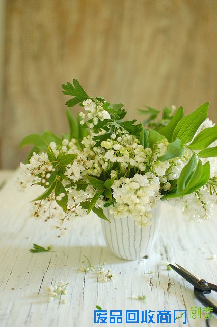 花颜 唯美花卉摄影美图