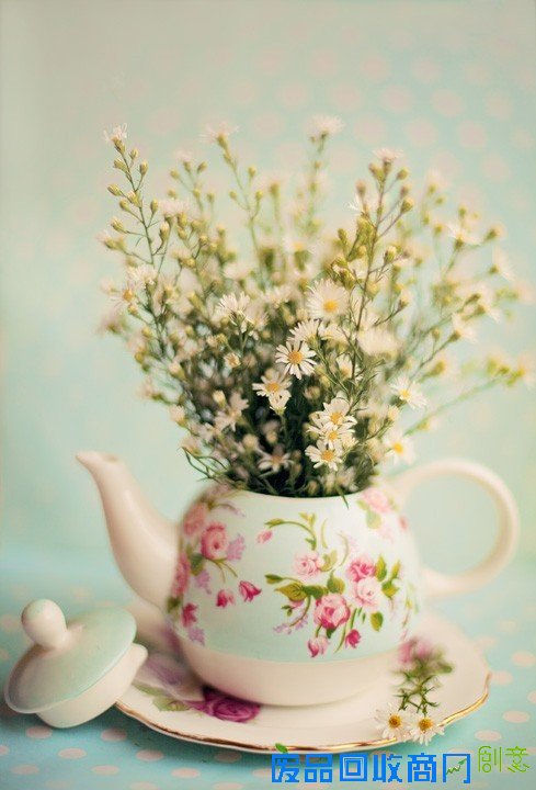 花颜 唯美花卉摄影美图