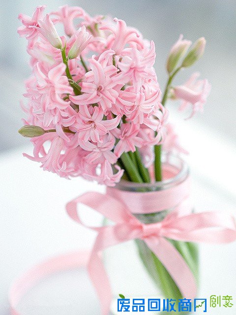 花颜 唯美花卉摄影美图