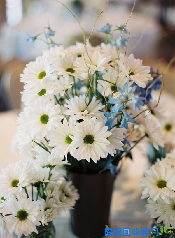 花颜 唯美花卉摄影美图