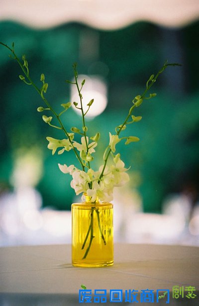 花颜 唯美花卉摄影美图