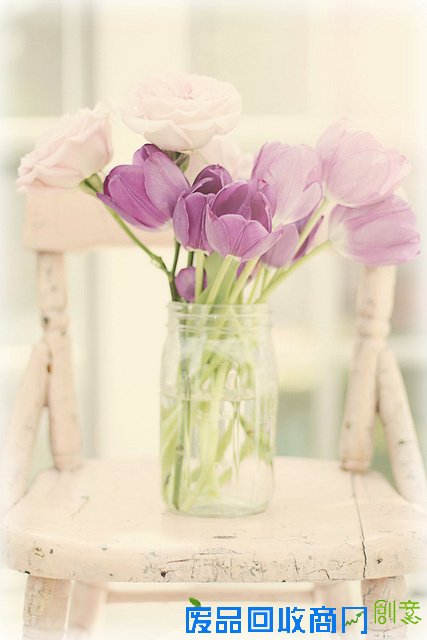 花颜 唯美花卉摄影美图