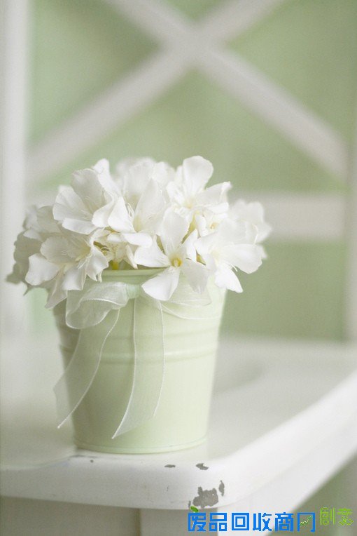 花颜 唯美花卉摄影美图