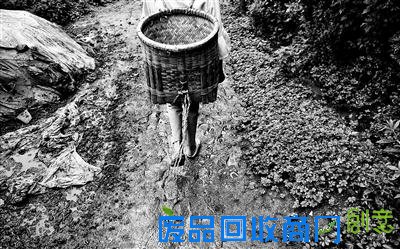 木苦衣伍木走在村里泥泞的小路上，帮家里干农活