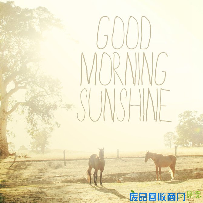 小清新唯美摄影作品