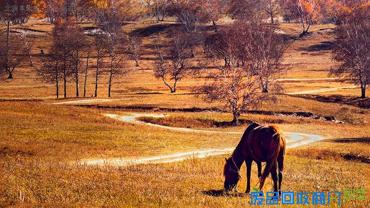 坝上草原金秋摄影行 北京周边最美摄影地(图)