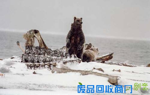 1451468525461040026.jpg 27.jpg