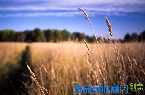 拍美女利器！佳能品牌定焦人像镜头推荐