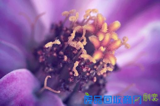 清新意境唯美伤感lomo绿色植物意境图片