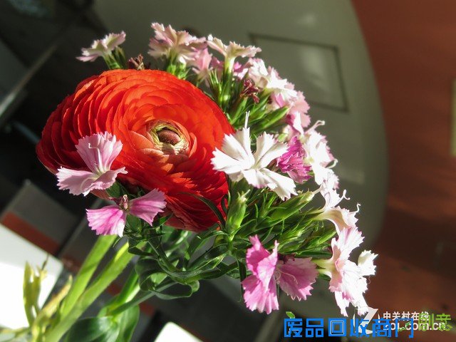 你的照片为何不美 简单几招教你玩转自拍