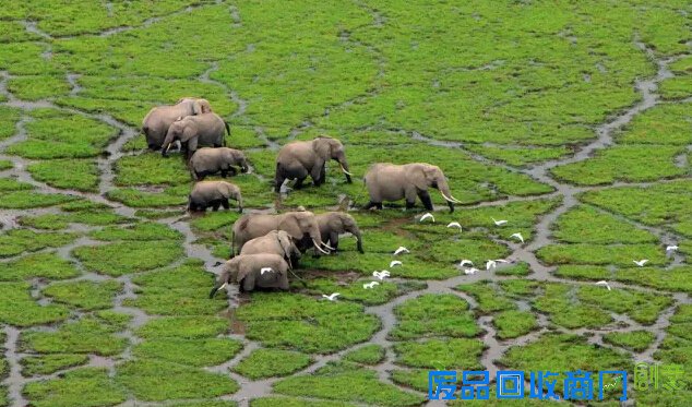 绍兴姑娘江一燕 演艺界最美女摄影师