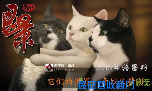 2015年它们的世界，奇妙又精彩