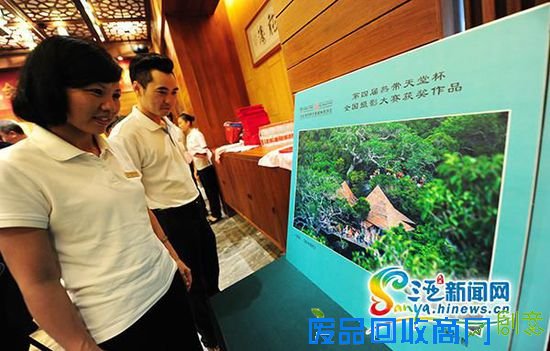 美丽梧桐花全国摄影大赛颁奖 获奖作品将在阳光岛社区展示