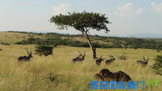 非凡体验 探秘南非十处必游之地