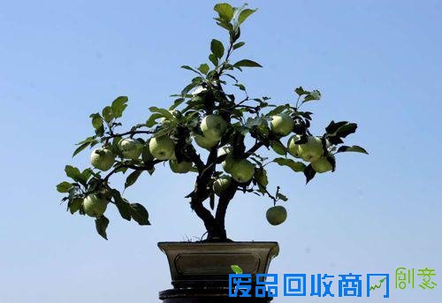 未来两年最赚钱的5个创业项目，看完赶紧赚钱吧