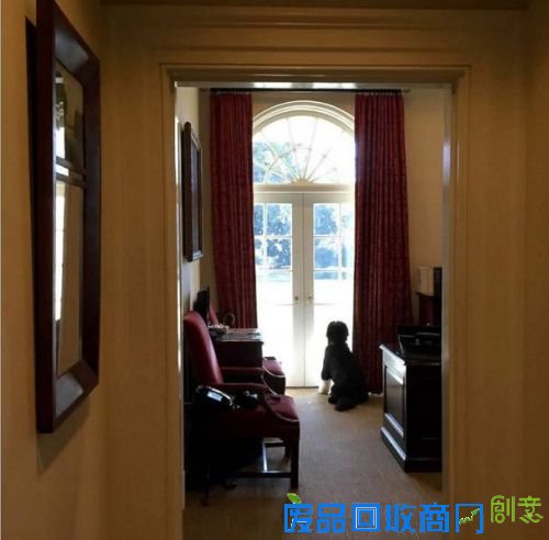 白宫摄影师晒的10张照片