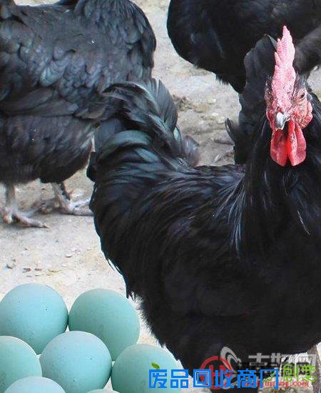 2016年最赚钱的创业好项目 小投资创业项目赚大钱