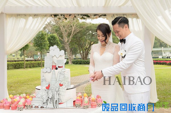 胡杏儿、Philip Lee (李乘德) 香港大婚