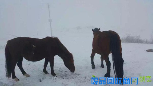 唯美内蒙古察右中旗草原黄花沟雪景 让人窒息