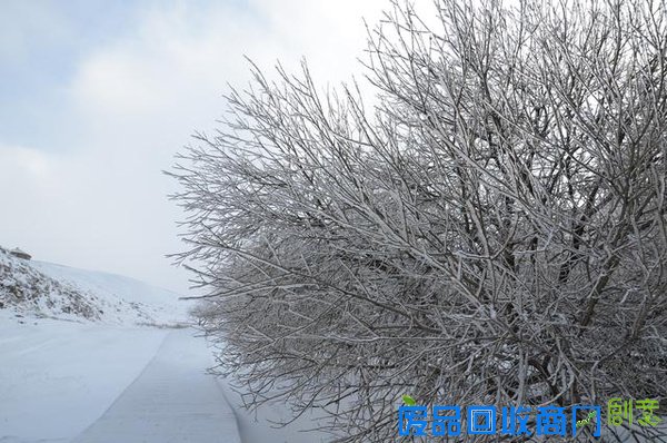 唯美内蒙古察右中旗草原黄花沟雪景 让人窒息