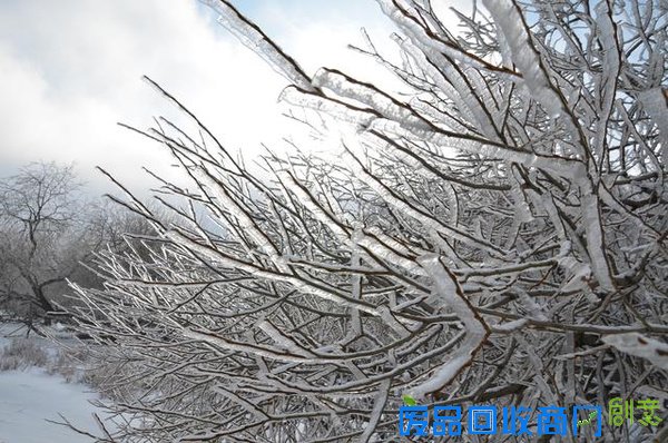 唯美内蒙古察右中旗草原黄花沟雪景 让人窒息