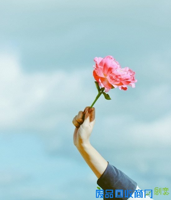 小清新森系植物伤感绿色意境图片