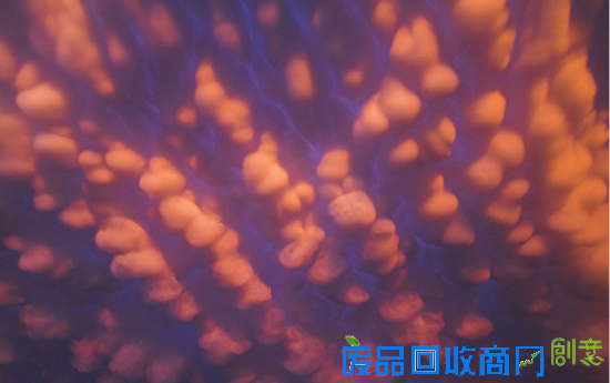 在雷暴天气过后，美国天空惊现罕见“乳房云”，绵延160公里。