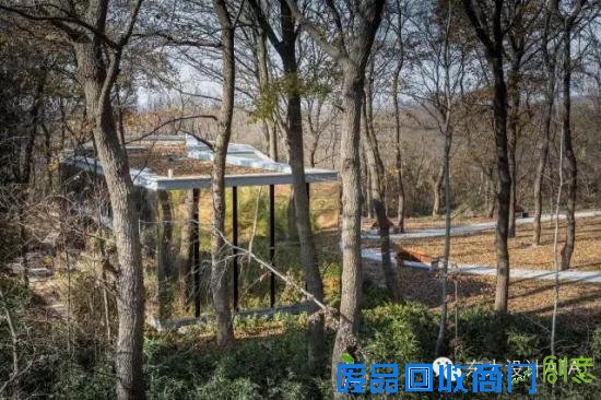 在南京，连厕所都这么文艺唯美