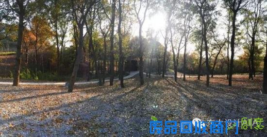 在南京，连厕所都这么文艺唯美