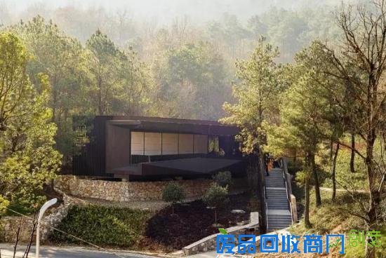 在南京，连厕所都这么文艺唯美