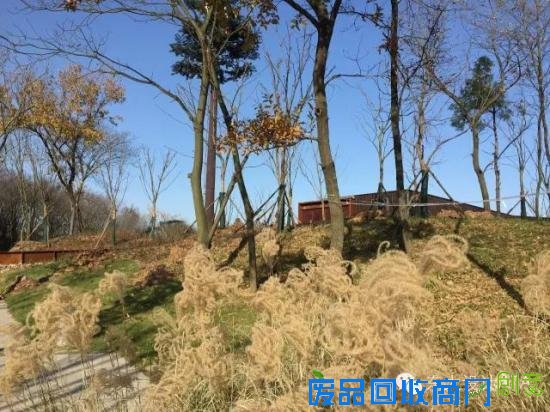 在南京,连厕所都这么文艺唯美