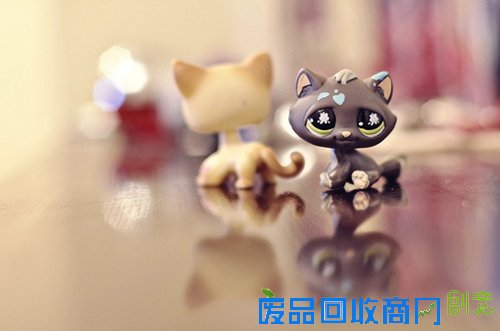 可爱图片：我们每个人的心中都有一个长不大的彼得