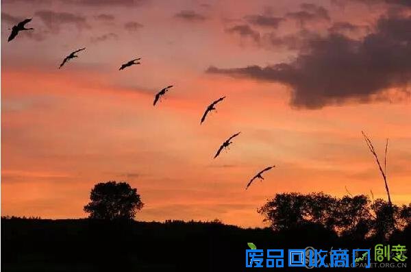 德国摄影获奖作品欣赏