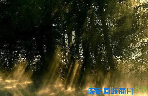 德国摄影获奖作品欣赏