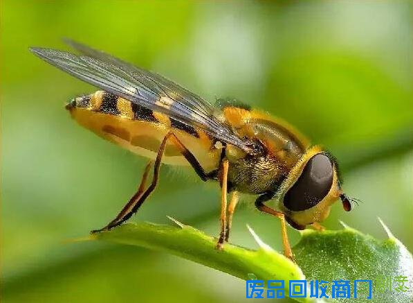 德国摄影获奖作品欣赏