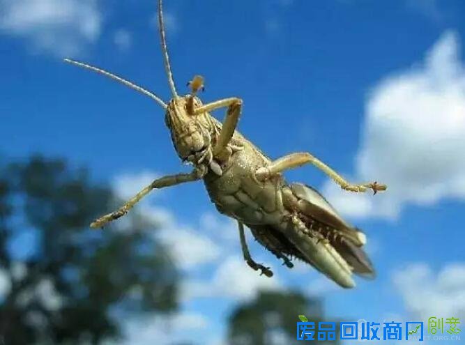 德国摄影获奖作品欣赏