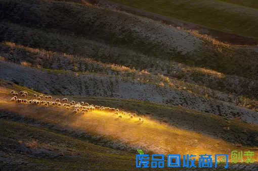 意大利托斯卡纳的田园风光唯美摄影图片