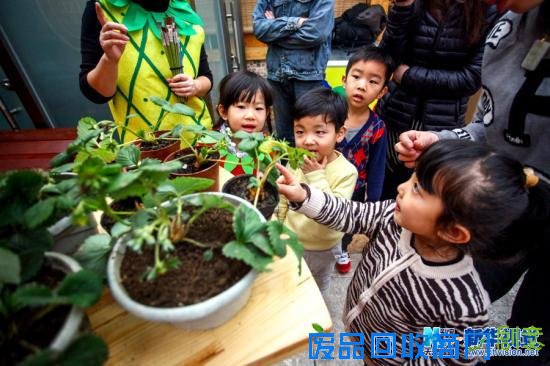 天津：创意游体验生态农业