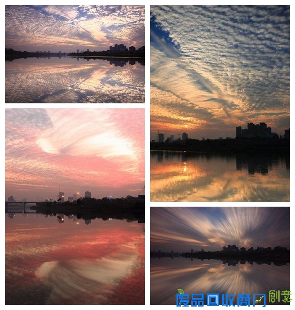 至美一拍 “冬日里最美的风景”唯美谢幕