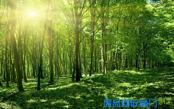 一幅令中国人悲伤的图，国家领导们看看吧！