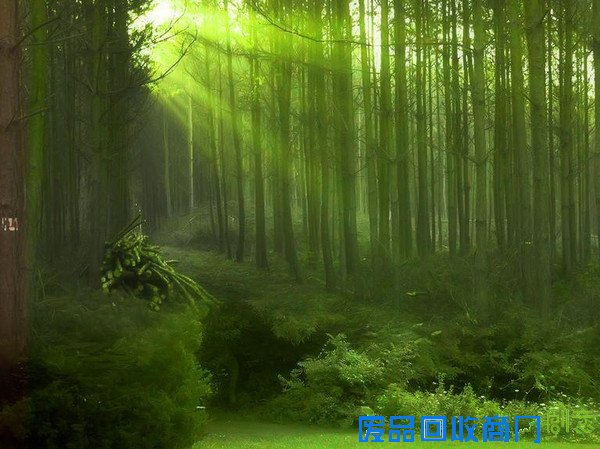 一幅令中国人悲伤的图，国家领导们看看吧！