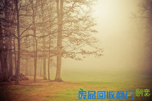 传说中的迷雾森林 唯美意境摄影图赏