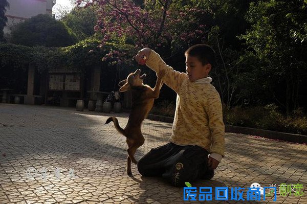 手把手教你人文摄影的抓拍艺术