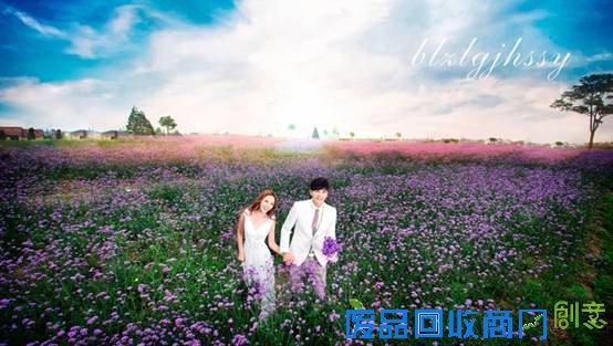 上海婚纱摄影工作室侬侬拍婚纱照薰衣草档期限量抢定