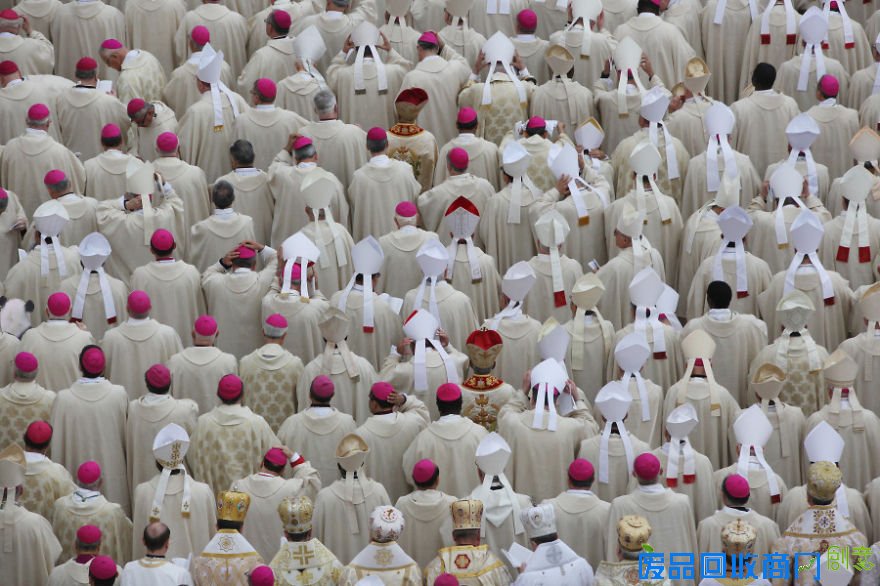 “找熊猫”升级版来袭 网友直呼看瞎眼组图